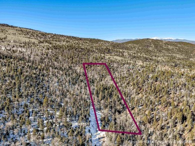 Lake Acreage For Sale in Angel Fire, New Mexico