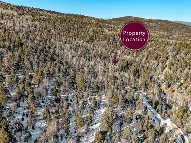 Beautiful single-family equestrian offering with the option to - photo 8