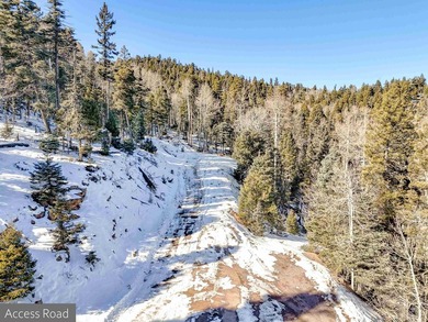 Beautiful single-family equestrian offering with the option to - photo 9
