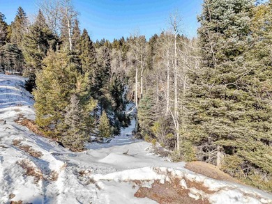 Beautiful single-family equestrian offering with the option to - photo 10