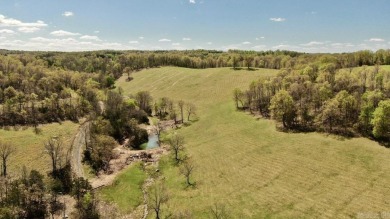 Lake Acreage For Sale in Marshall, Arkansas