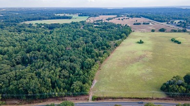Beautiful 19.4+/- Acres in Bullard - Ideal Homesite or - photo 2