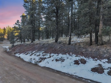 Monte Verde Lake Lot For Sale in Angel Fire New Mexico