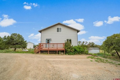 Summit Reservoir Home For Sale in Mancos Colorado