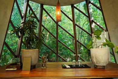 *Jungle Pods* Selvatik is a one-of-a-kind hospitality investment - photo 8