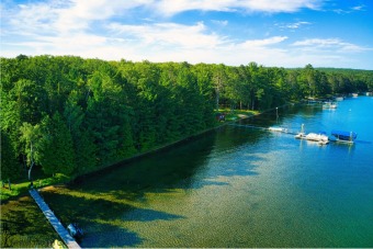 Higgins Lake Lot For Sale in Roscommon Michigan