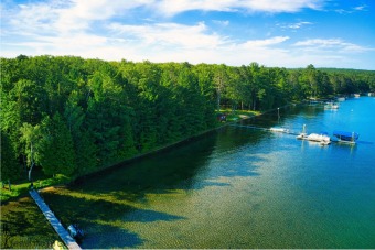 Lake Lot Off Market in Roscommon, Michigan