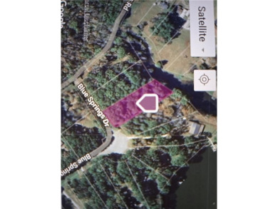 Lake Lot For Sale in Buckhead, Georgia