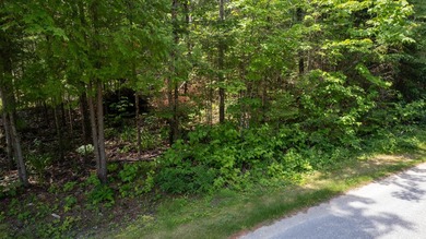 Build your Up North getaway in the desirable Cordwood Point - photo 13