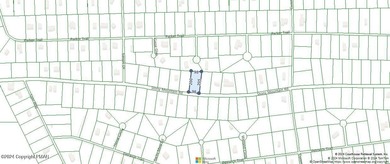 Towamensing Trails Lake Lot For Sale in Albrightsville Pennsylvania