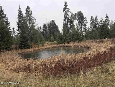 Experience what it feels like to get away from it all with this - photo 42
