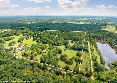 (private lake, pond, creek) Home For Sale in Ben Wheeler Texas