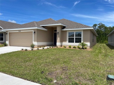 Buck Lake - Osceola County Home For Sale in Saint Cloud Florida
