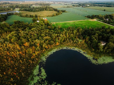 Lake Acreage For Sale in Belding, Michigan