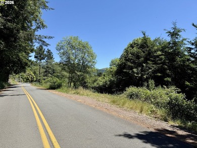 Property Highlights Views: Enjoy panoramic territorial and river - photo 11