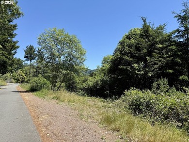Property Highlights Views: Enjoy panoramic territorial and river - photo 13