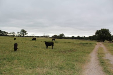 (private lake, pond, creek) Acreage For Sale in Elmore City Oklahoma