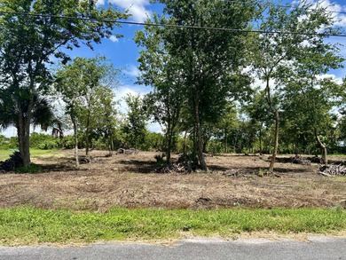 (private lake, pond, creek) Lot For Sale in Moore Haven Florida