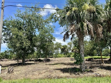 (private lake, pond, creek) Lot For Sale in Moore Haven Florida