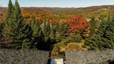 Panoramic views of Saint-Sauveur valley and Sommet Gabriel ski - photo 43