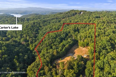 Lake Acreage Sale Pending in Talking Rock, Georgia