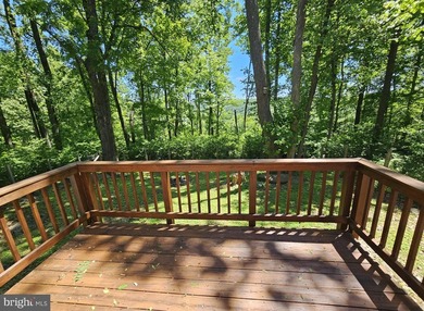 Discover your dream retreat in the serene Shen Farms community! - photo 2