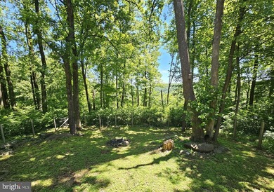 Discover your dream retreat in the serene Shen Farms community! - photo 5