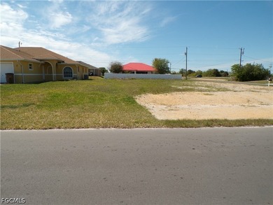 This Corner Lot presents a prime opportunity to develop on a - photo 3