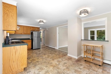 This charming and beautifully updated 3-bedroom home offers - photo 13