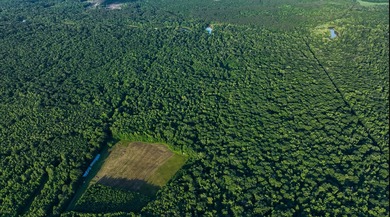 Lake Acreage For Sale in Vaughan, Mississippi