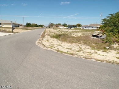 This Corner lot and adjoining lot presents a prime opportunity - photo 3