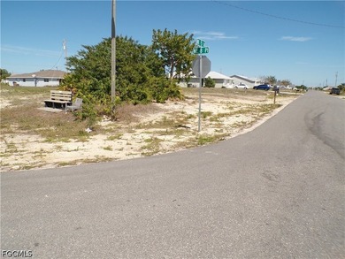 This Corner lot and adjoining lot presents a prime opportunity - photo 4