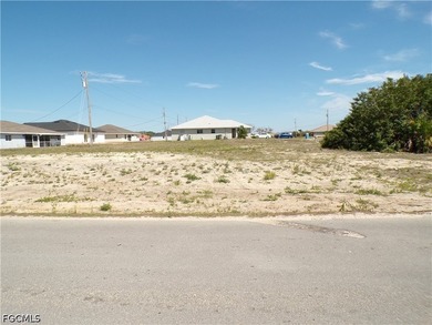 This Corner lot and adjoining lot presents a prime opportunity - photo 6