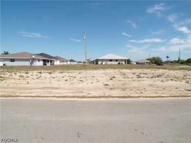 This Corner lot and adjoining lot presents a prime opportunity - photo 7