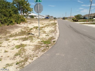 This Corner lot and adjoining lot presents a prime opportunity - photo 10
