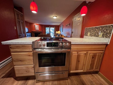 Elegantly remodeled Snow Fire unit with great location and - photo 5