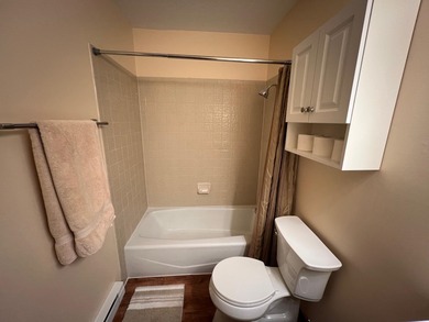 Elegantly remodeled Snow Fire unit with great location and - photo 8