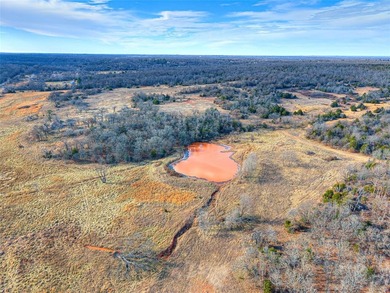 This expansive acreage features open space, mature trees, and a - photo 3