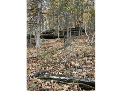 Here we have a beautiful plot of land to build your dream estate - photo 5