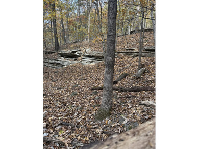 Here we have a beautiful plot of land to build your dream estate - photo 6