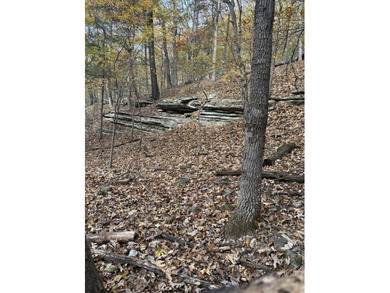 Here we have a beautiful plot of land to build your dream estate - photo 7