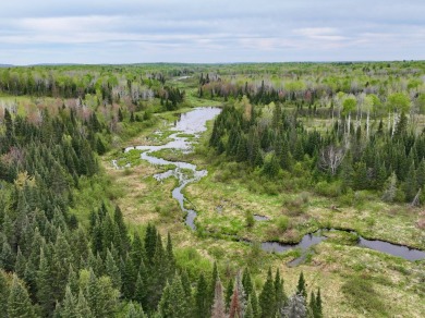 (private lake, pond, creek) Acreage For Sale in Bruce Crossing Michigan