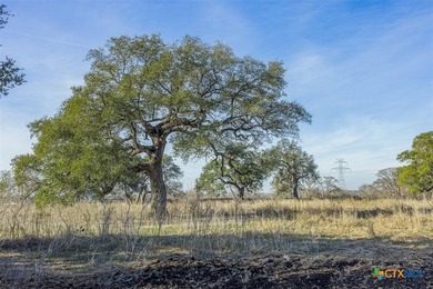 Positioned at the hard corner of Highway 80 and Quail Run in - photo 10