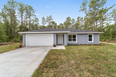 Bonable Lake Home For Sale in Dunnellon Florida