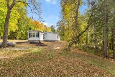 Webb Lake Home Sale Pending in Birch Lake Twp Minnesota