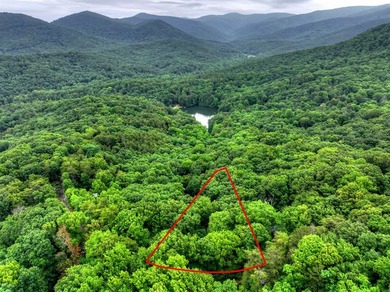 LONG RANGE YEAR-ROUND MOUNTAIN VIEWS, a TRUE LOG CABIN, and - photo 33