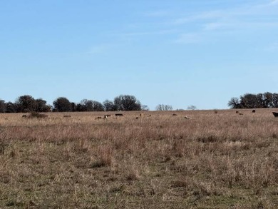 (private lake, pond, creek) Acreage For Sale in Yates Center Kansas