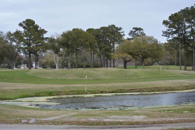 New Reduced Price! Beautifully renovated 1,754 sq ft golf course - photo 9