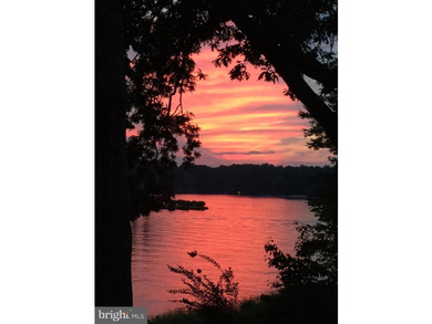 Nestled in a peaceful cove with stunning main lake views and - photo 3