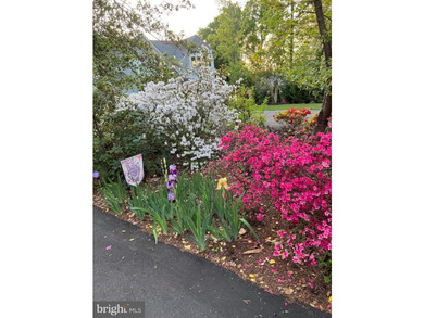 Nestled in a peaceful cove with stunning main lake views and - photo 10